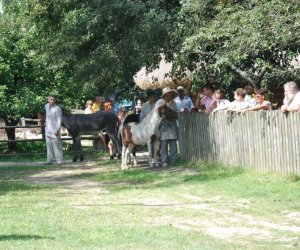 IX Podlaskie Święto Chleba IX Podlaskie Święto Chleba