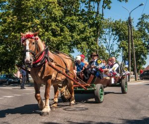 XV Podlaskie Święta Chleba w Muzeum Rolnictwa im. ks. Krzysztofa Kluka w Ciechanowcu XV Podlaskie Święta Chleba w Muzeum Rolnictwa im. ks. Krzysztofa Kluka w Ciechanowcu