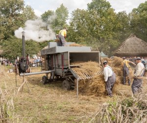 XVI Podlaskie Święto Chleba XVI Podlaskie Święto Chleba