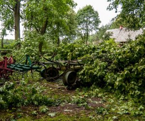 Nawałnica w Ciechanowcu Nawałnica w Ciechanowcu