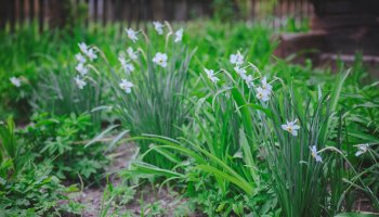 Codziennik Muzealny - Wiosna w ciechanowieckim muzeum