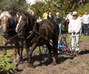 JESIEŃ W POLU I ZAGRODZIE w ramach Europejskich Dni Dziedzictwa 18 września 2016 r. JESIEŃ W POLU I ZAGRODZIE w ramach Europejskich Dni Dziedzictwa 18 września 2016 r.