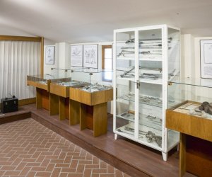 Muzeum Weterynarii Muzeum Weterynarii