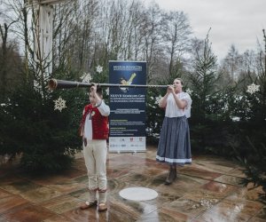 Ligawki 2017 - fotorelacja Ligawki 2017 - fotorelacja