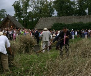 VIII PODLASKIE ŚWIĘTO CHLEBA VIII PODLASKIE ŚWIĘTO CHLEBA