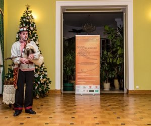 Galeria z 5 grudnia 2015 Galeria z 5 grudnia 2015