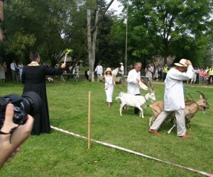 VII PODLASKIE ŚWIĘTO CHLEBA VII PODLASKIE ŚWIĘTO CHLEBA