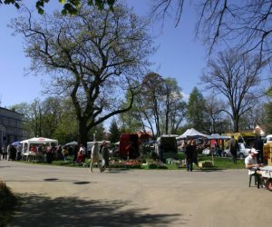 Galeria - 2007 Galeria - 2007