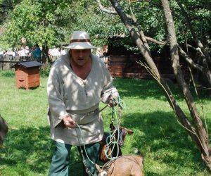 IX Podlaskie Święto Chleba IX Podlaskie Święto Chleba