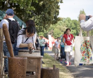Piknik "Poznaj Zdrową Żywność" - fotorelacja