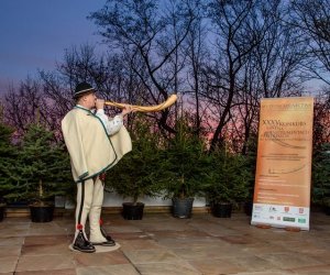 Galeria z 5 grudnia 2015 Galeria z 5 grudnia 2015