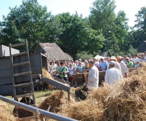 IX Podlaskie Święto Chleba IX Podlaskie Święto Chleba