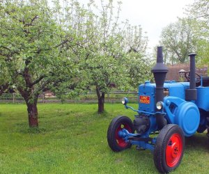 Unikatowe eksponaty przyjechały do ciechanowieckiego Muzeum Unikatowe eksponaty przyjechały do ciechanowieckiego Muzeum