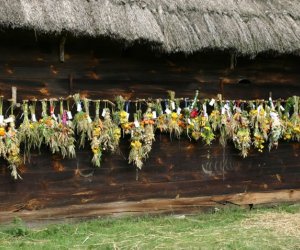 VII PODLASKIE ŚWIĘTO CHLEBA VII PODLASKIE ŚWIĘTO CHLEBA