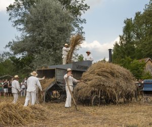 XXIII Podlaskie Święto Chleba - fotorelacja XXIII Podlaskie Święto Chleba - fotorelacja