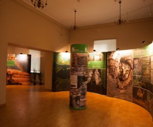 Jarmark Św. Wojciecha i Festyn Leśny 2014 Jarmark Św. Wojciecha i Festyn Leśny 2014