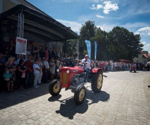 XVIII Podlaskie Święto Chleba - fotorelacja XVIII Podlaskie Święto Chleba - fotorelacja