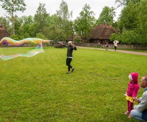 Europejska Noc Muzeów 2016 Europejska Noc Muzeów 2016