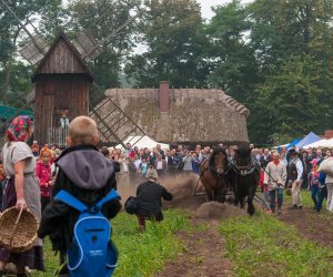 JESIEŃ W POLU I ZAGRODZIE JESIEŃ W POLU I ZAGRODZIE