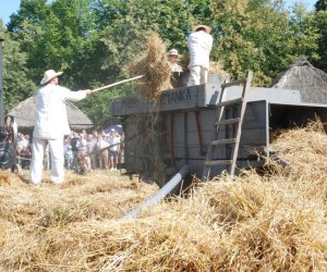 IX Podlaskie Święto Chleba IX Podlaskie Święto Chleba