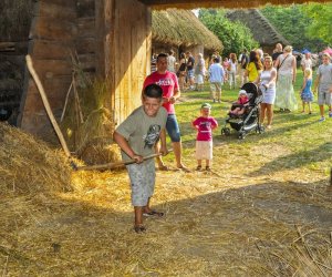 Święto Chleba po raz trzynasty Święto Chleba po raz trzynasty
