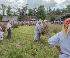 XXII Podlaskie Święto Chleba - fotorelacja XXII Podlaskie Święto Chleba - fotorelacja