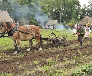 Wykopki w skansenie podsumowanie, fotorelacja. Wykopki w skansenie podsumowanie, fotorelacja.