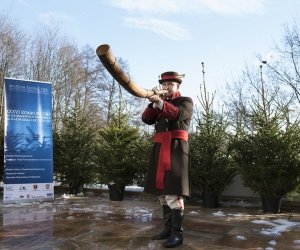 LIGAWKI 2016 - Fotorelacja z konkursu LIGAWKI 2016 - Fotorelacja z konkursu