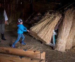 Jarmark św. Wojciecha 2022 - fotorelacja Jarmark św. Wojciecha 2022 - fotorelacja