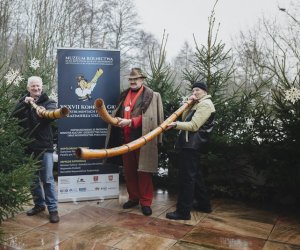 Ligawki 2018 Ligawki 2018