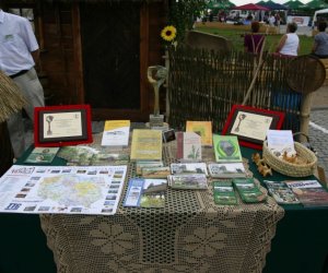 Urodzinowy Mistrz Smaku 2006 r Urodzinowy Mistrz Smaku 2006 r