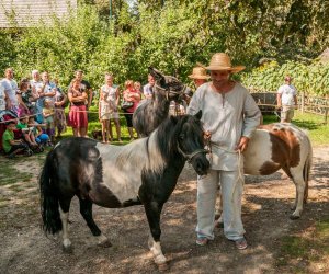 Święto Chleba po raz trzynasty Święto Chleba po raz trzynasty