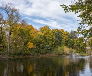 NIECOdziennik muzealny - Wieś w październiku NIECOdziennik muzealny - Wieś w październiku