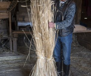 Jesień w polu i zagrodzie 2021 - fotorelacja