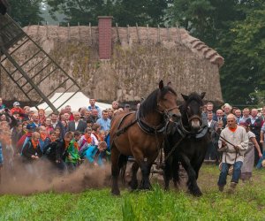 JESIEŃ W POLU I ZAGRODZIE JESIEŃ W POLU I ZAGRODZIE