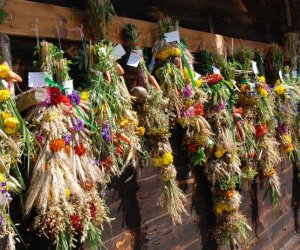 IX Podlaskie Święto Chleba IX Podlaskie Święto Chleba