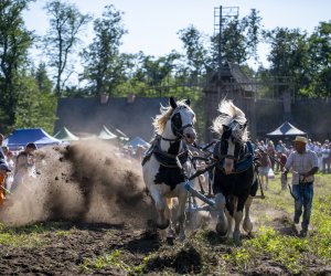 "Z kulturą ludową przez Podlasie" - fotorelacja "Z kulturą ludową przez Podlasie" - fotorelacja