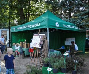 XVIII Podlaskie Święto Chleba - fotorelacja XVIII Podlaskie Święto Chleba - fotorelacja