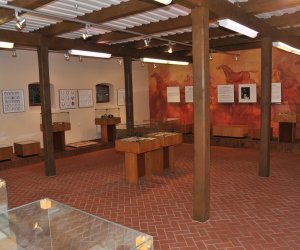 Odnowiona ekspozycja Muzeum Weterynarii Odnowiona ekspozycja Muzeum Weterynarii