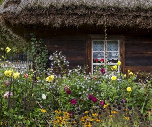 NIECOdziennik muzealny - Wieś w październiku NIECOdziennik muzealny - Wieś w październiku