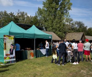 „Jesień w polu i zagrodzie” 2023 r. - fotorelacja i podsumowanie „Jesień w polu i zagrodzie” 2023 r. - fotorelacja i podsumowanie