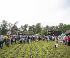 Jesień w polu i zagrodzie - fotorelacja - 15 września 2024