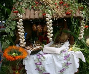 VIII PODLASKIE ŚWIĘTO CHLEBA VIII PODLASKIE ŚWIĘTO CHLEBA