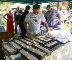 XXII Podlaskie Święto Chleba - fotorelacja