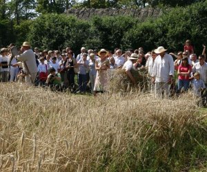 IX Podlaskie Święto Chleba IX Podlaskie Święto Chleba