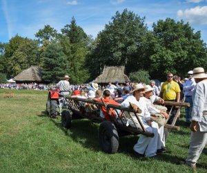 XVIII Podlaskie Święto Chleba - fotorelacja XVIII Podlaskie Święto Chleba - fotorelacja