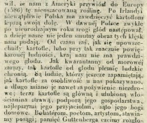 Niecodziennik muzealny - Uprawa ziemniaków w Polsce w XVIII i pierwszych dekadach XIX wieku. Niecodziennik muzealny - Uprawa ziemniaków w Polsce w XVIII i pierwszych dekadach XIX wieku.