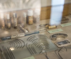 Muzeum Weterynarii Muzeum Weterynarii