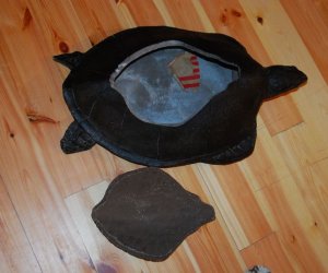 Pamiątki kolonialne "Sztuka czarnego lądu". Pamiątki kolonialne "Sztuka czarnego lądu".