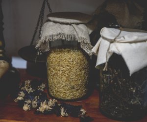 DZIAŁ TRADYCJI ZIELARSKICH DZIAŁ TRADYCJI ZIELARSKICH